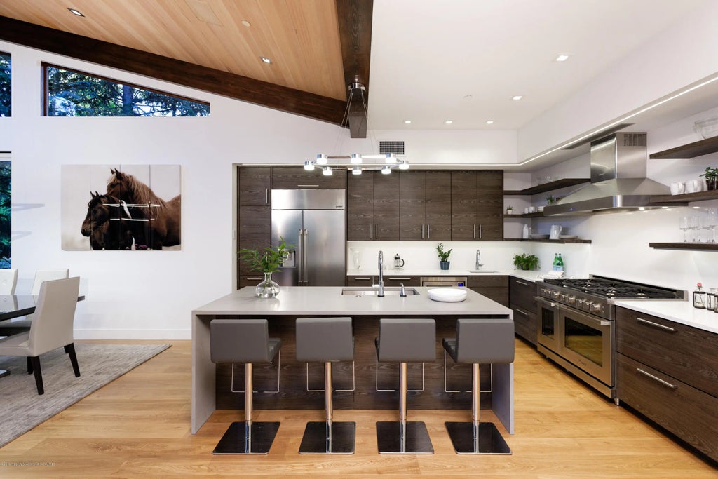 11 of 28 - 745 Castle Creek Drive, Aspen, CO