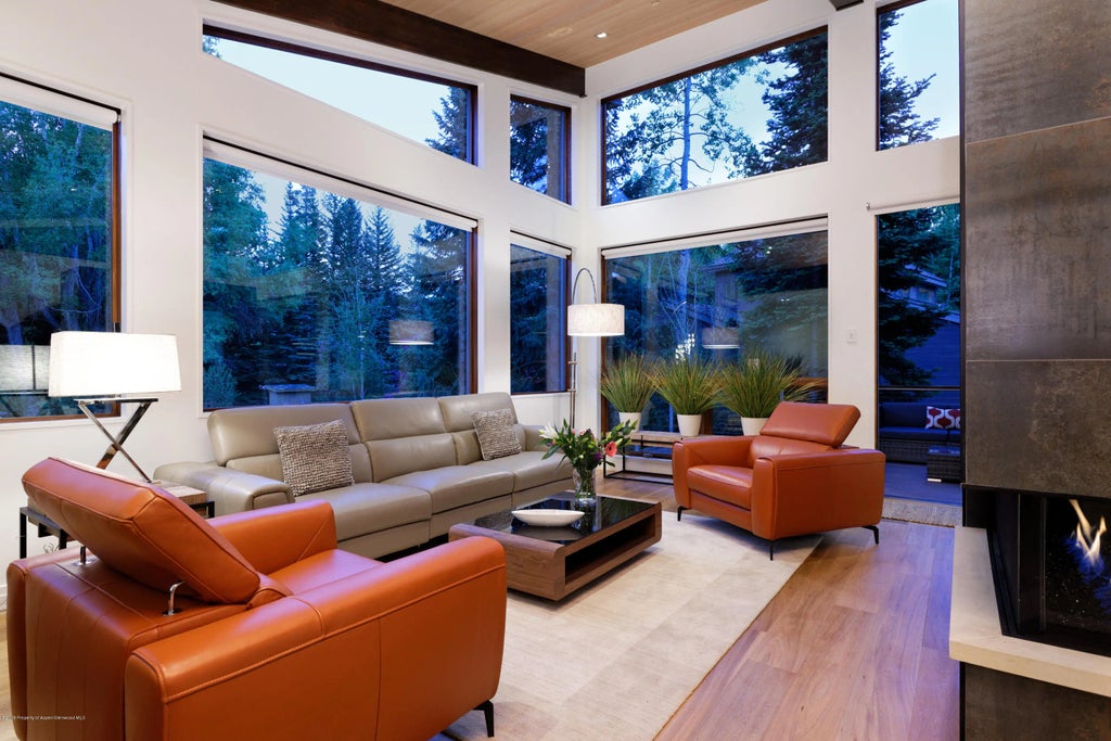 5 of 28 - 745 Castle Creek Drive, Aspen, CO