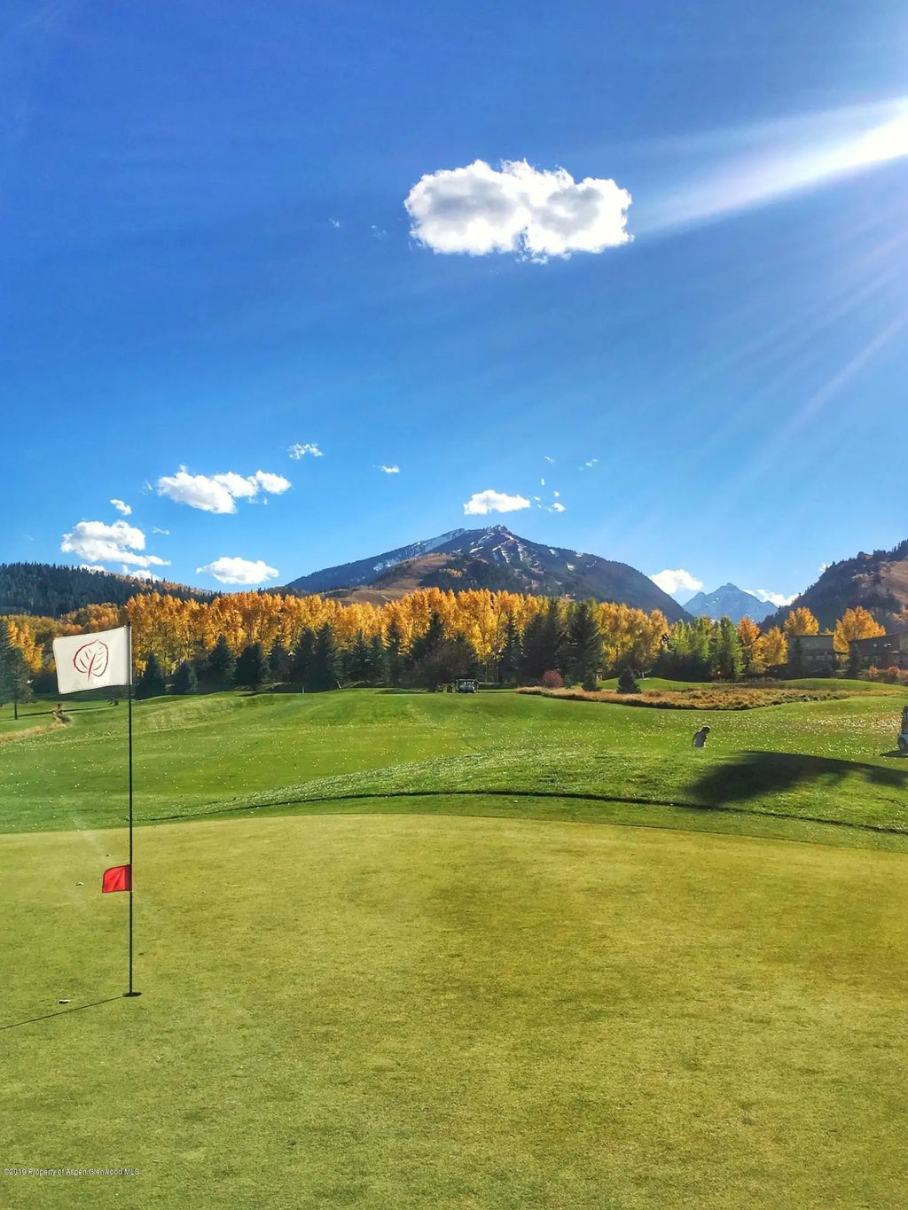 16 of 21 - 1039 E Cooper Avenue #41, Aspen, CO
