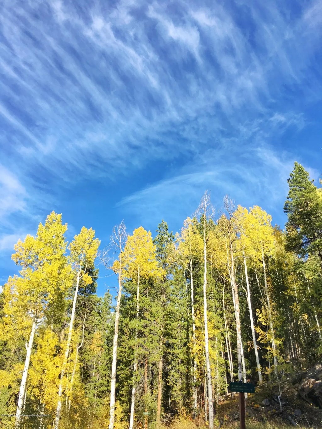 18 of 21 - 1039 E Cooper Avenue #41, Aspen, CO