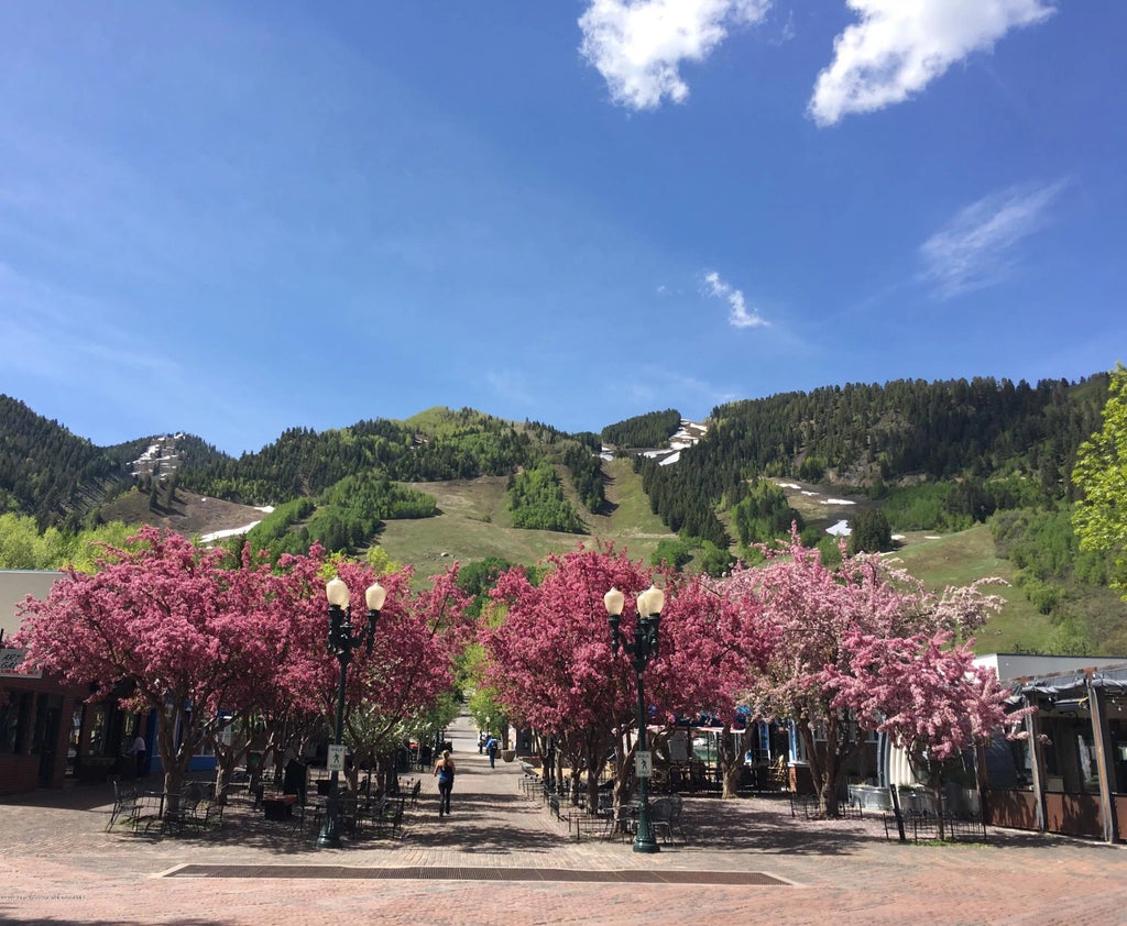 19 of 21 - 1039 E Cooper Avenue #41, Aspen, CO