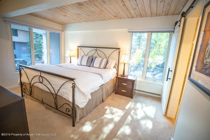 4 of 21 - 1039 E Cooper Avenue #41, Aspen, CO