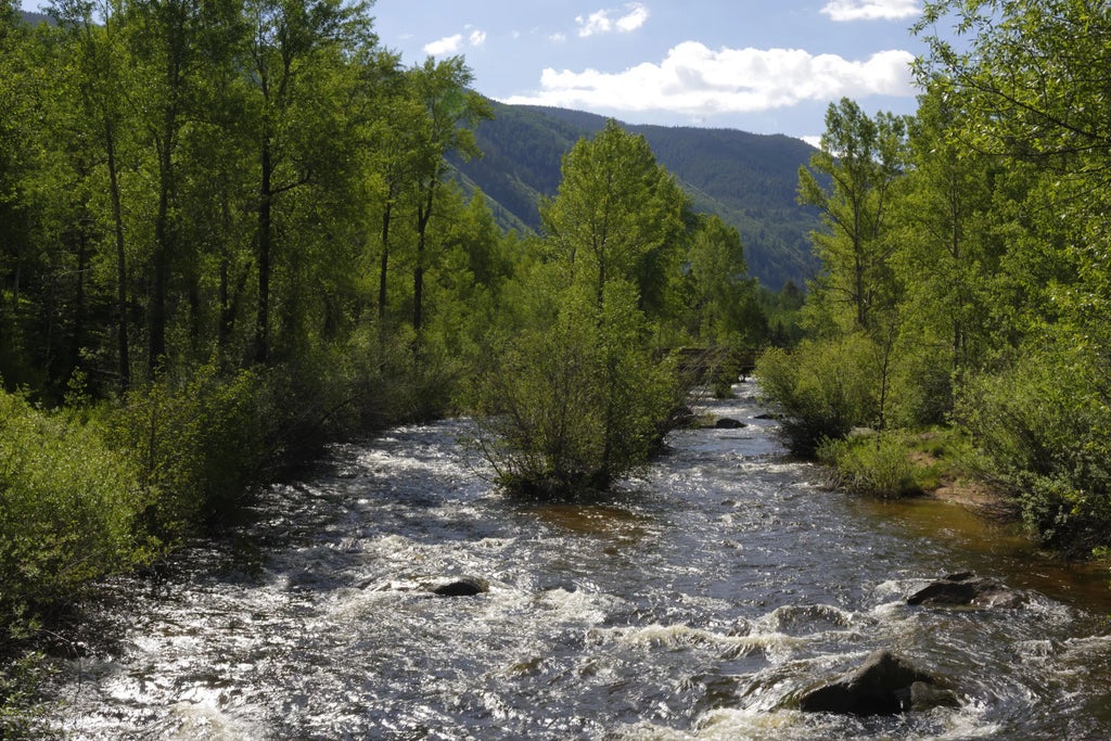 32 of 36 - 1417 Crystal Lake Road, Aspen, CO