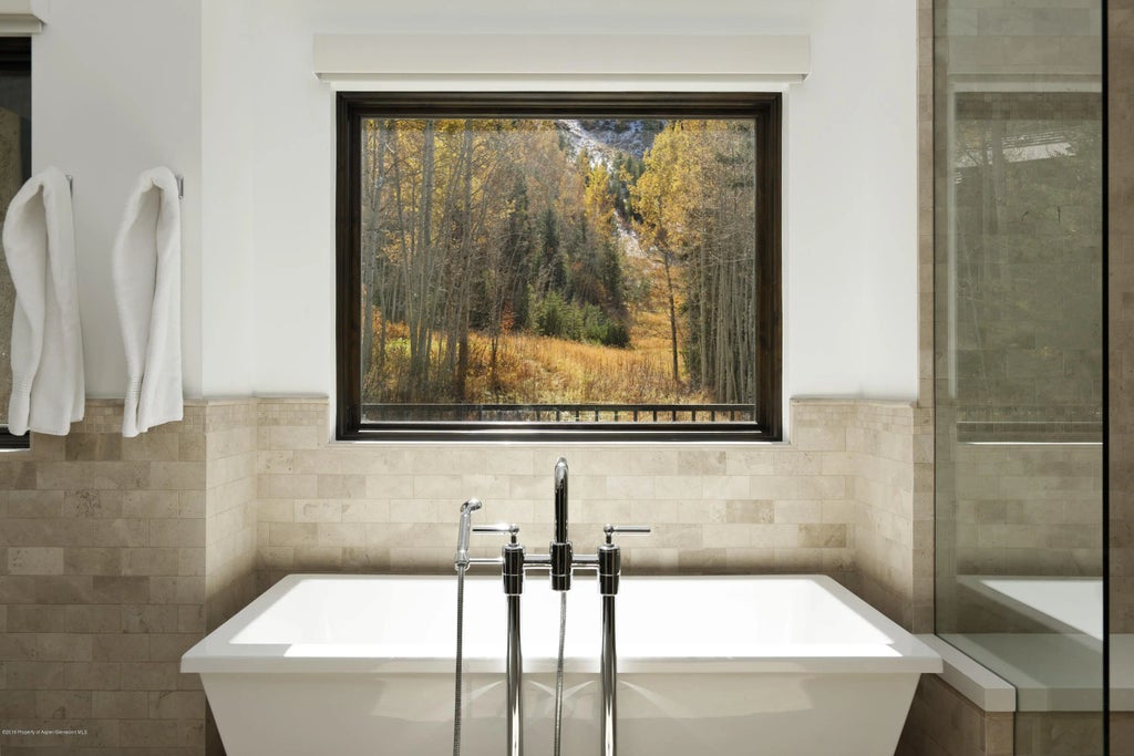 11 of 32 - 235 Exhibition Lane, Aspen, CO