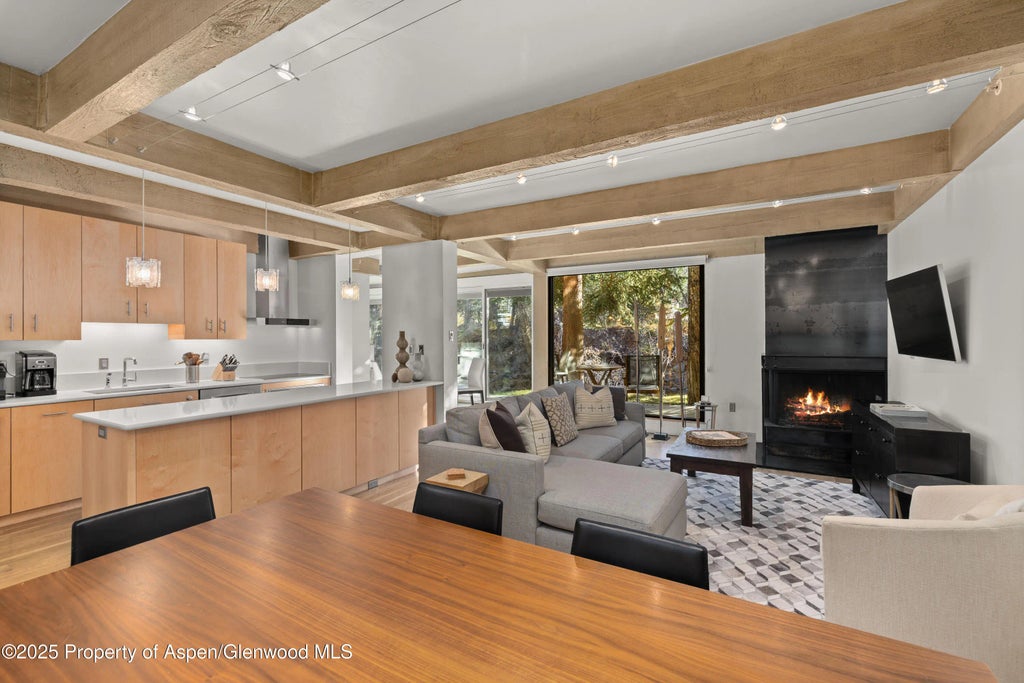 1 of 15 - 1034 E Cooper Avenue 24, Aspen, CO