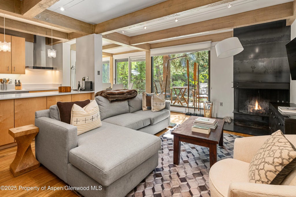 3 of 15 - 1034 E Cooper Avenue 24, Aspen, CO