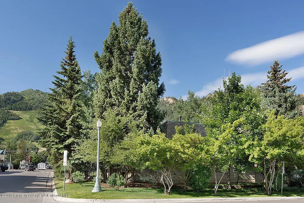 12 of 13 - 117 N Monarch Street Unit #2, Aspen, CO