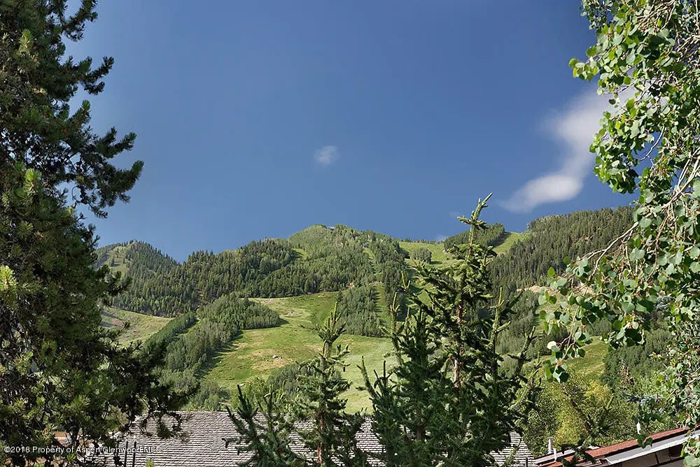 13 of 13 - 117 N Monarch Street Unit #2, Aspen, CO