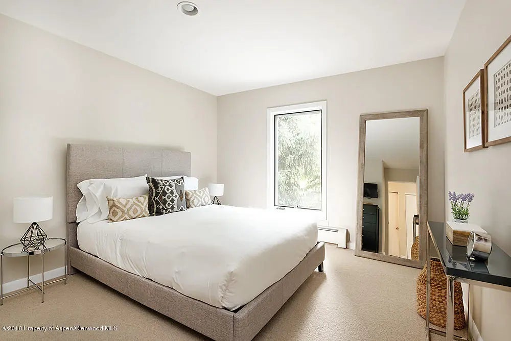 3 of 13 - 117 N Monarch Street Unit #2, Aspen, CO