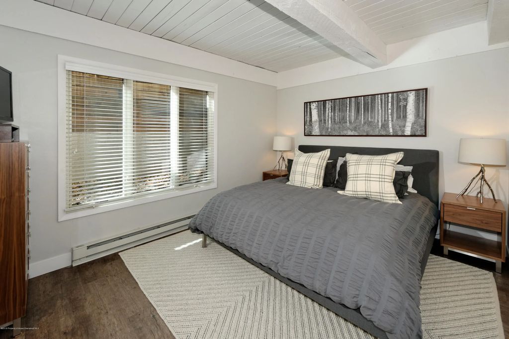 8 of 10 - 1039 E Cooper Avenue 27, Aspen, CO