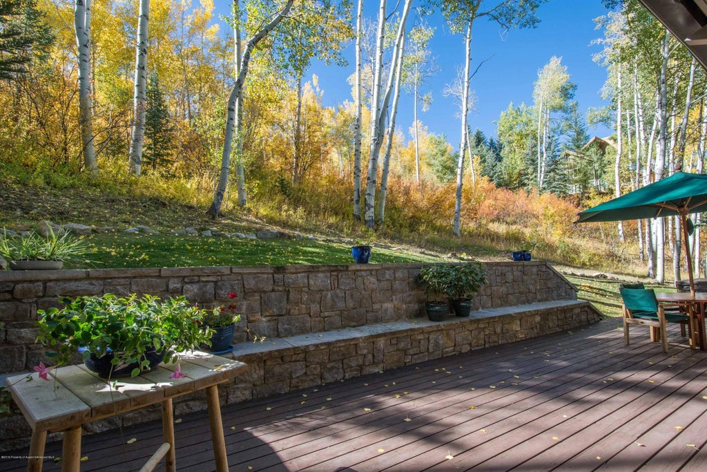 22 of 30 - 623 Faraway Road, Snowmass Village, CO