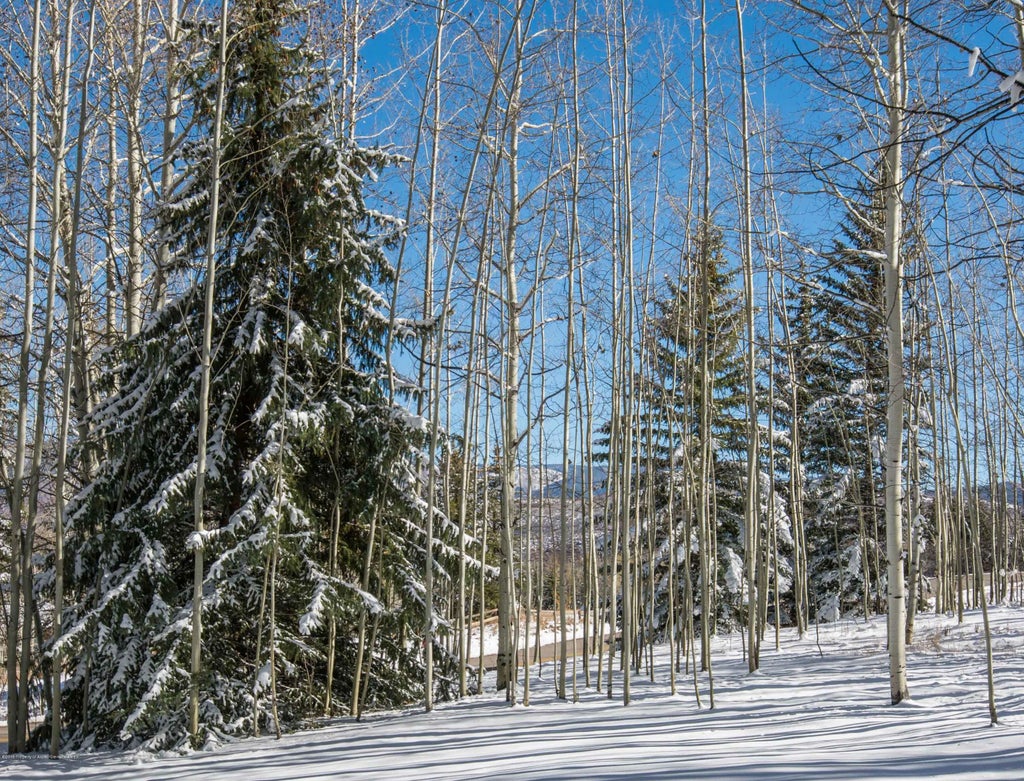 24 of 30 - 623 Faraway Road, Snowmass Village, CO