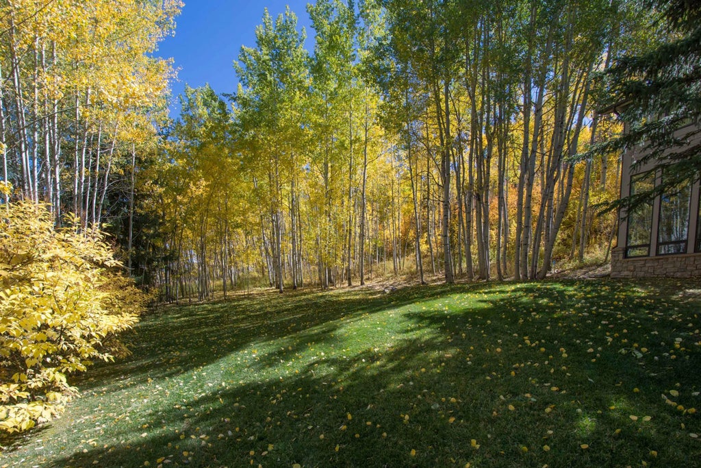 25 of 30 - 623 Faraway Road, Snowmass Village, CO