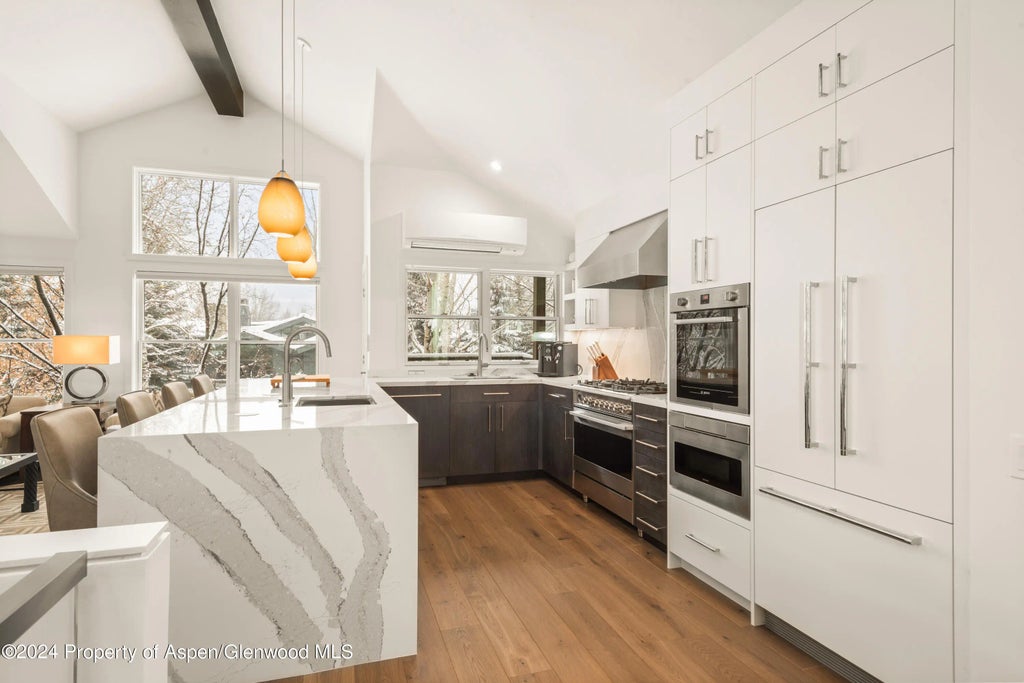14 of 44 - 927 E Durant Avenue 3, Aspen, CO