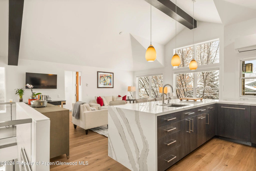 15 of 44 - 927 E Durant Avenue 3, Aspen, CO