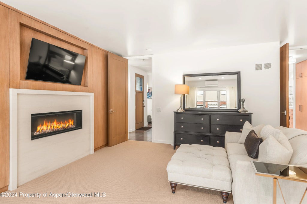 27 of 44 - 927 E Durant Avenue 3, Aspen, CO