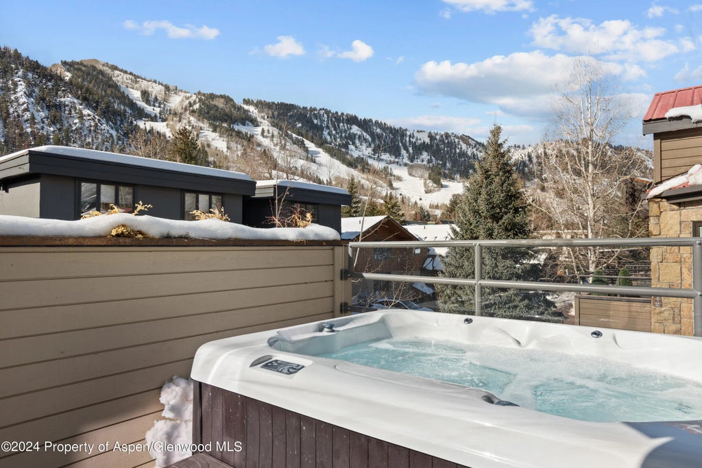 40 of 44 - 927 E Durant Avenue 3, Aspen, CO
