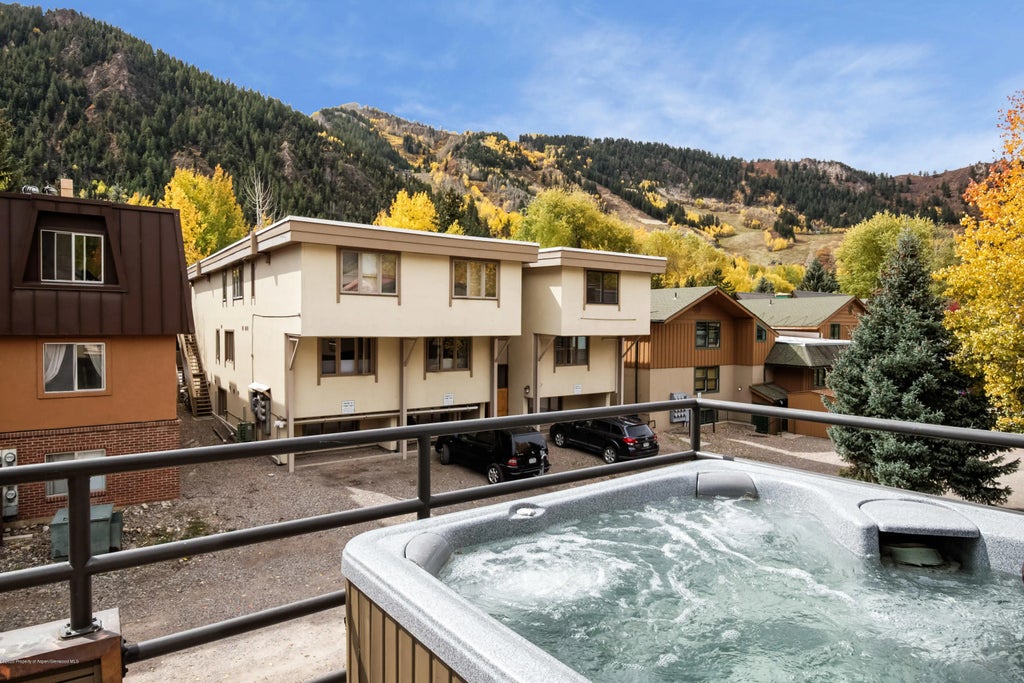 41 of 44 - 927 E Durant Avenue 3, Aspen, CO