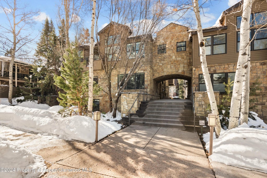 44 of 44 - 927 E Durant Avenue 3, Aspen, CO