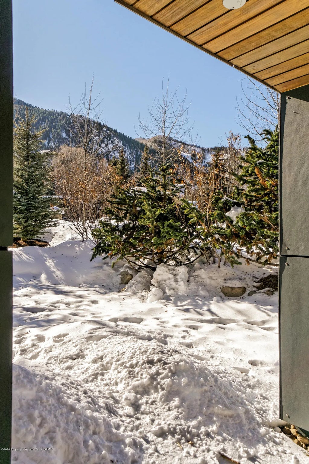 29 of 32 - 100 Park Avenue, Aspen, CO