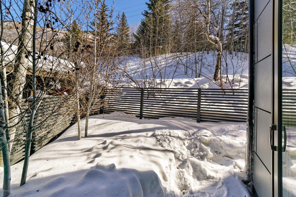 30 of 32 - 100 Park Avenue, Aspen, CO