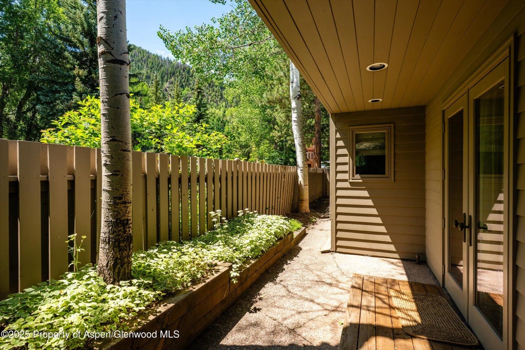 38 of 43 - 627 S Original Street, Aspen, CO