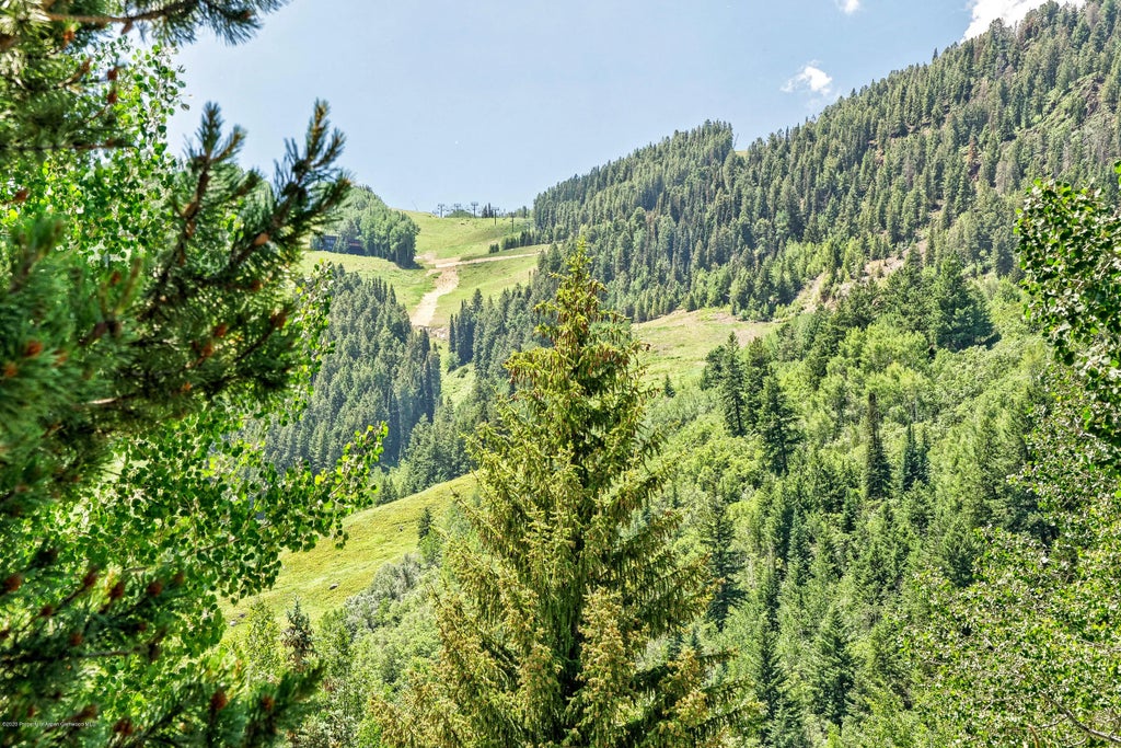 12 of 13 - 124 W Hyman 2b, Aspen, CO