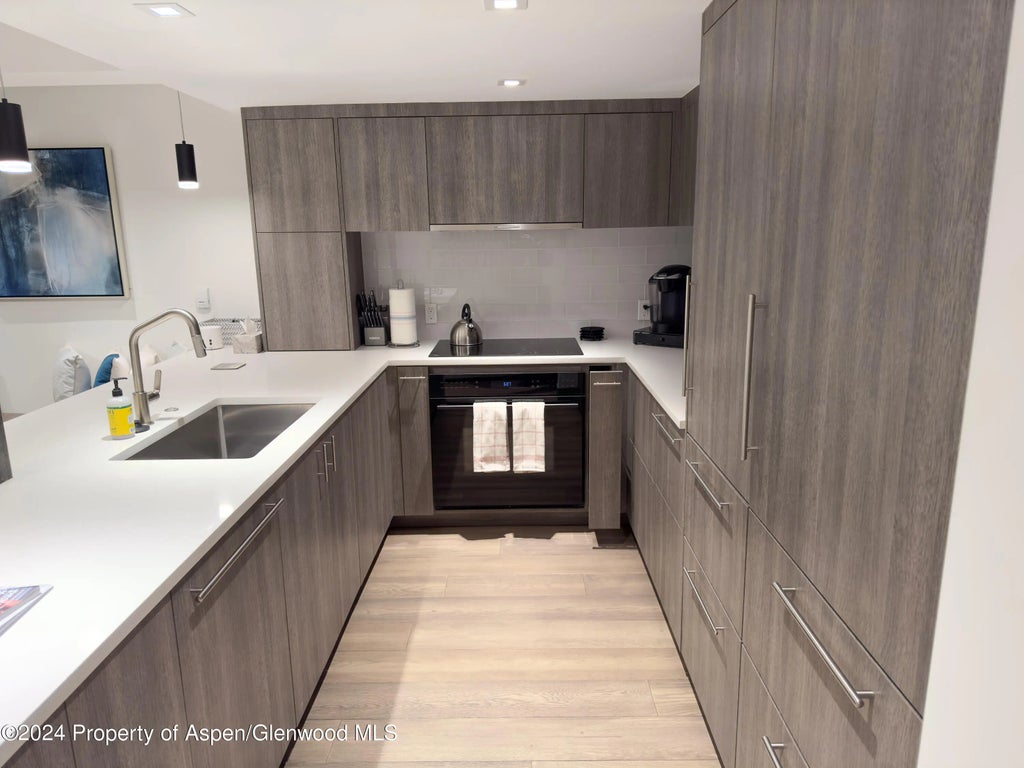 4 of 13 - 124 W Hyman 2b, Aspen, CO