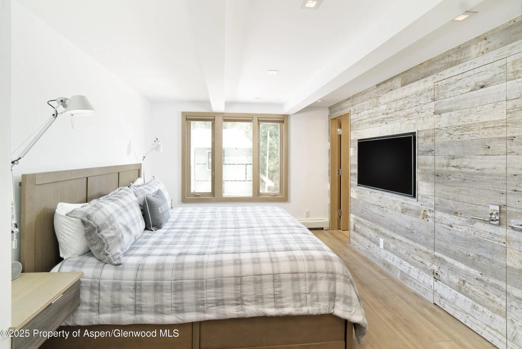 6 of 13 - 124 W Hyman 2b, Aspen, CO