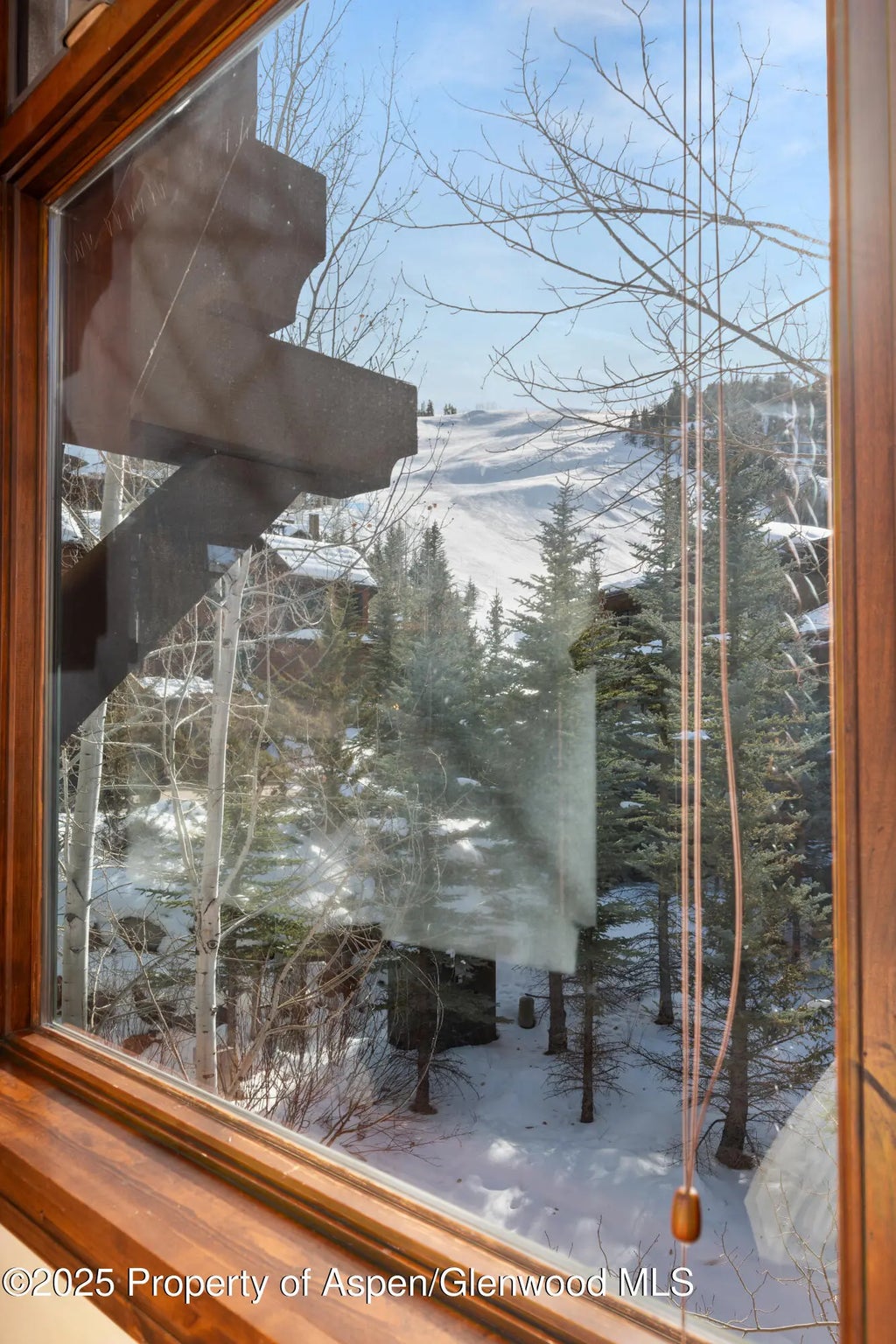 49 of 55 - 81 Thunderbowl Lane, Aspen, CO