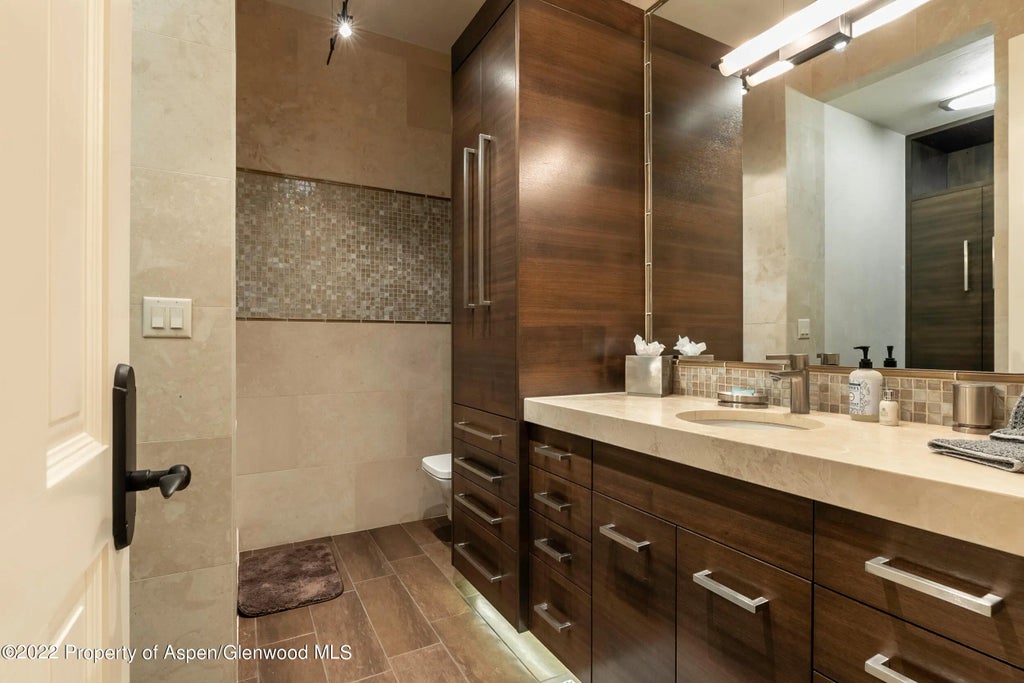 15 of 23 - 135 W Hopkins Avenue, Aspen, CO
