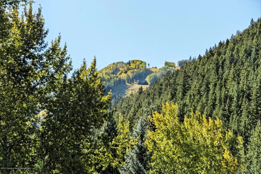 13 of 13 - 501 W Main Street A-106, Aspen, CO