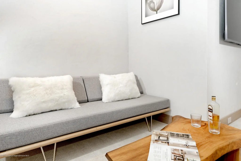 19 of 32 - 217 S Third Street, Aspen, CO