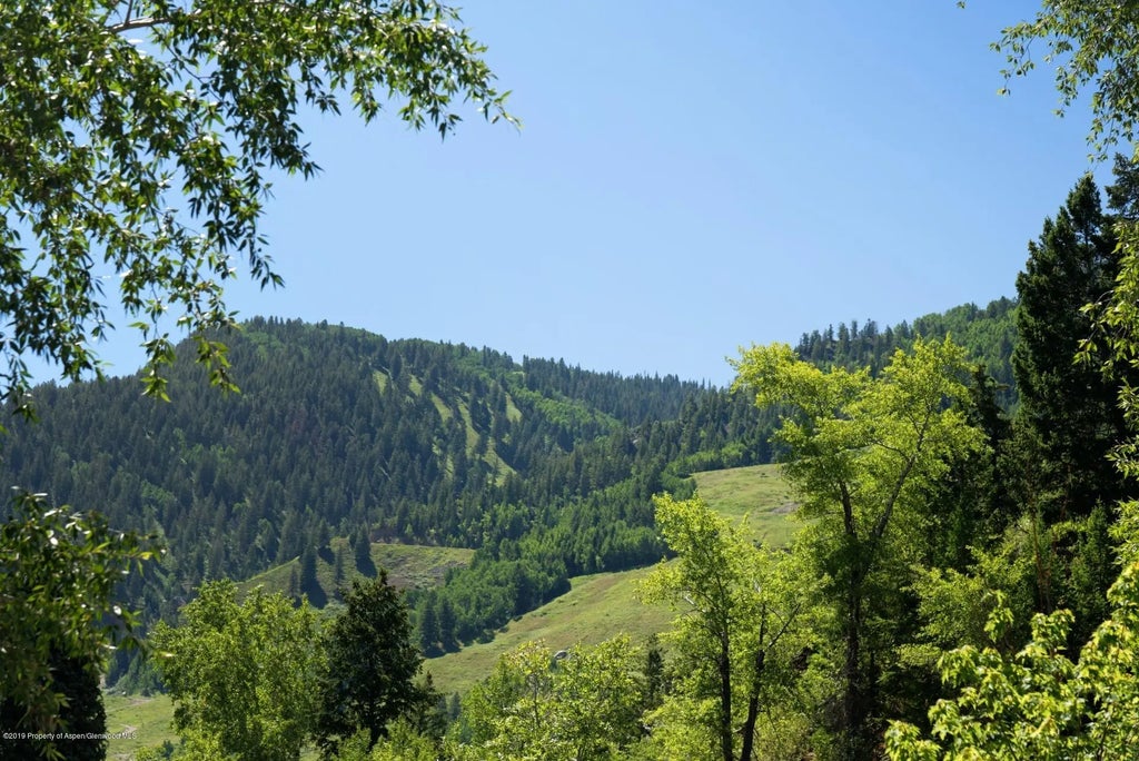 31 of 32 - 217 S Third Street, Aspen, CO