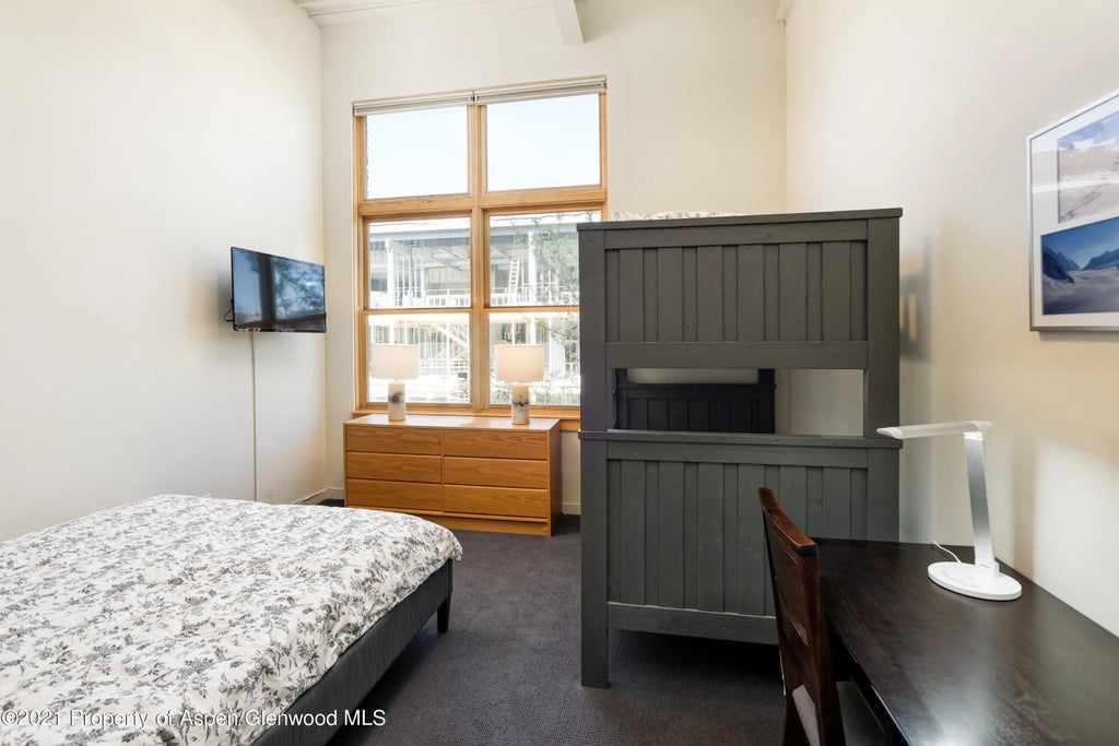 12 of 14 - 231 Robinson Street R-212, Basalt, CO