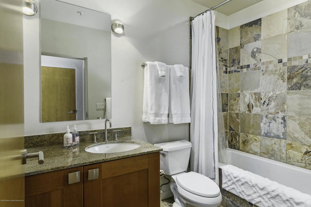 13 of 14 - 231 Robinson Street R-212, Basalt, CO