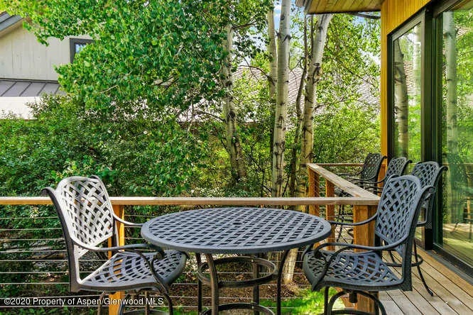 10 of 26 - 1250 Snowbunny Lane, Aspen, CO