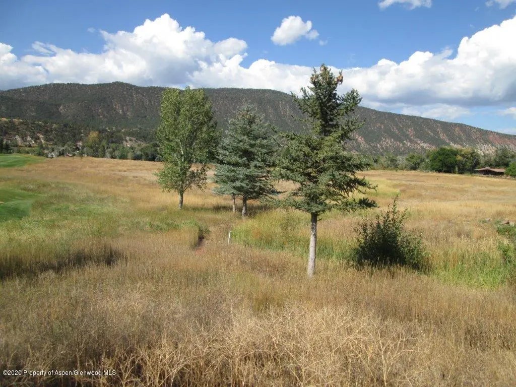 8 of 13 - Tbd Leonis Lane, Carbondale, CO
