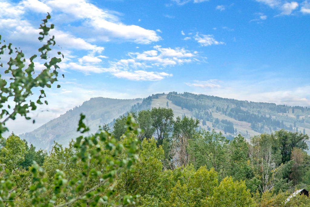 11 of 26 - 100 N 8th Street Unit 29, Aspen, CO