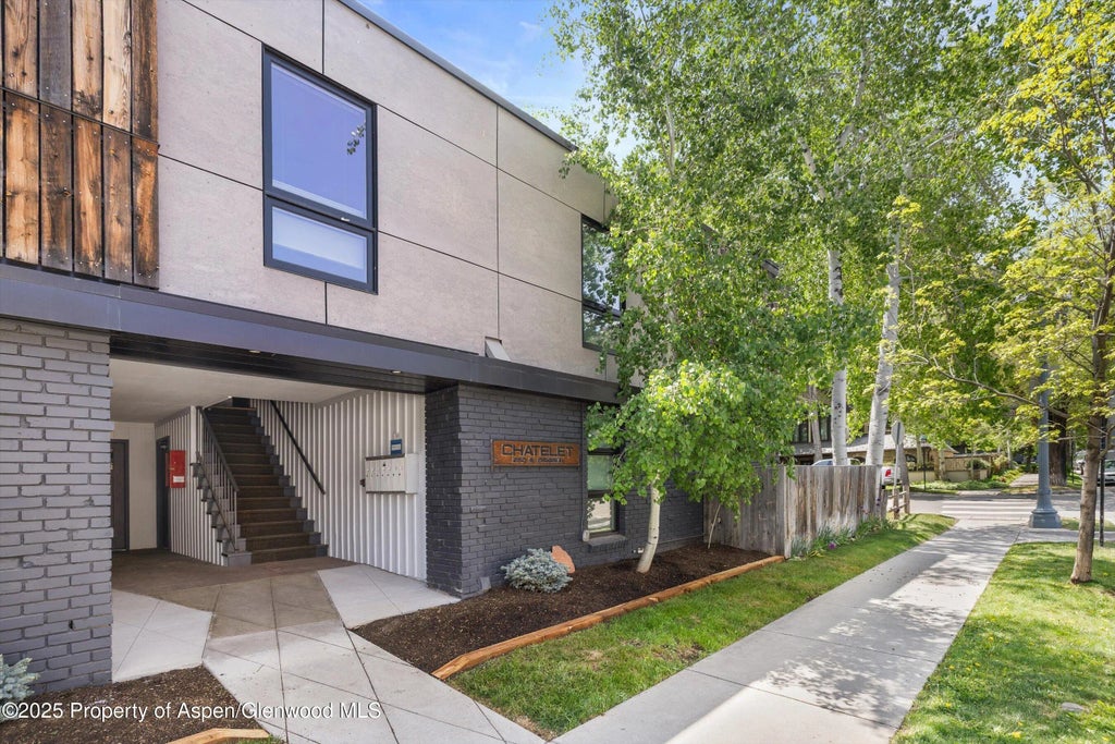 8 of 19 - 250 S Original Street B, Aspen, CO