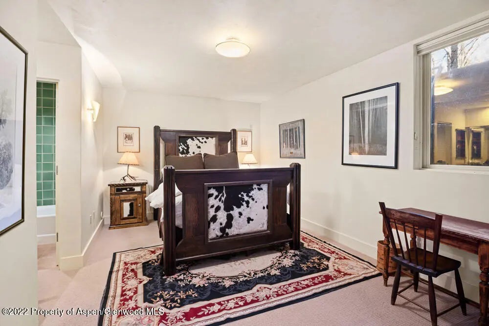 19 of 30 - 111 Neale Avenue, Aspen, CO