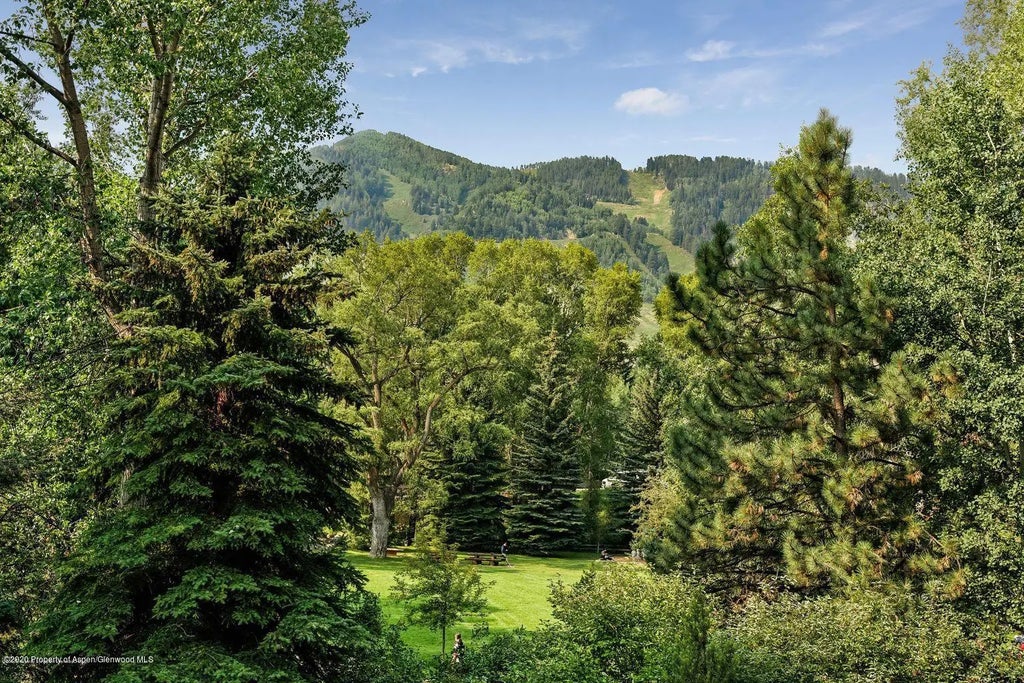 29 of 30 - 111 Neale Avenue, Aspen, CO