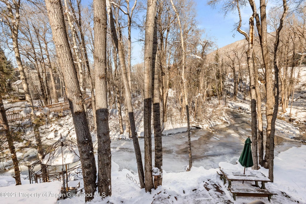 30 of 30 - 111 Neale Avenue, Aspen, CO