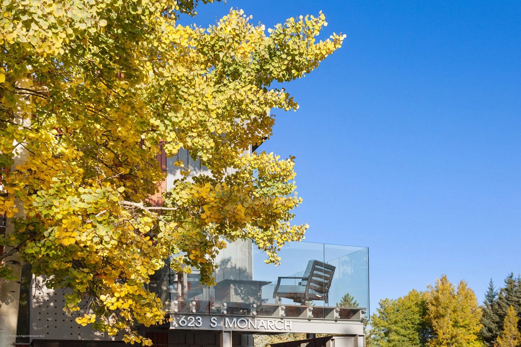 20 of 24 - 623 S Monarch Avenue Unit C, Aspen, CO