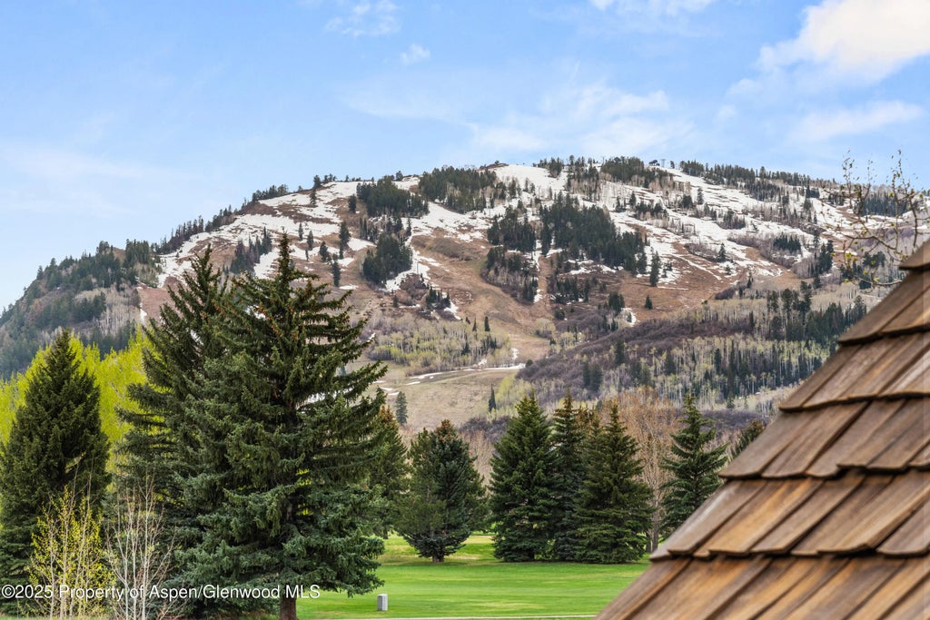 42 of 42 - 1495 Homestake Drive 2, Aspen, CO