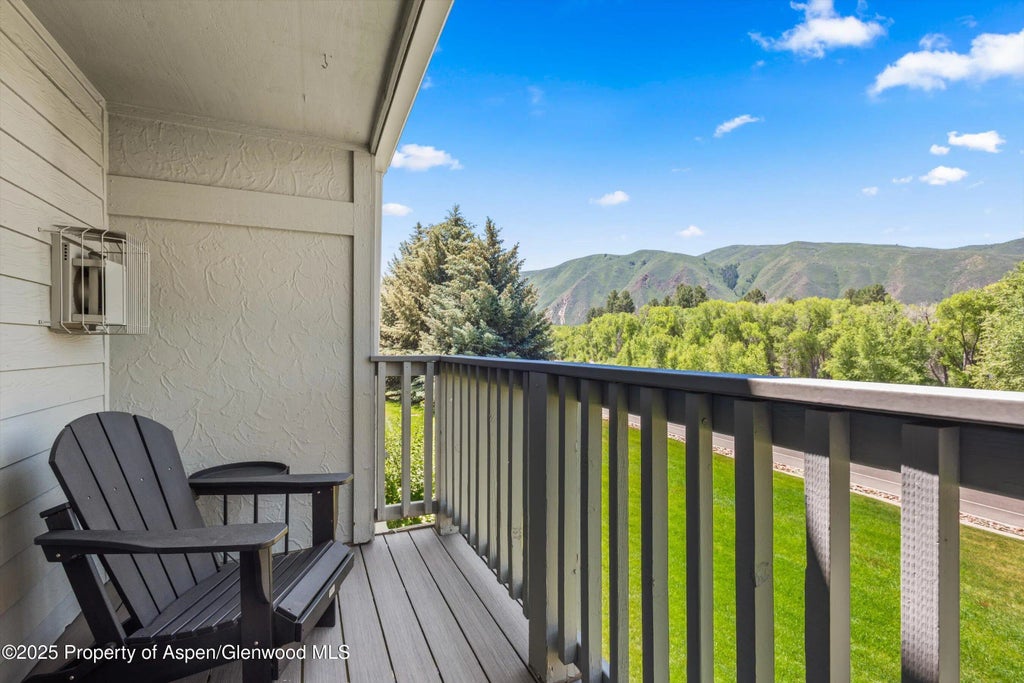 12 of 15 - 4202 Elk Lane, Basalt, CO