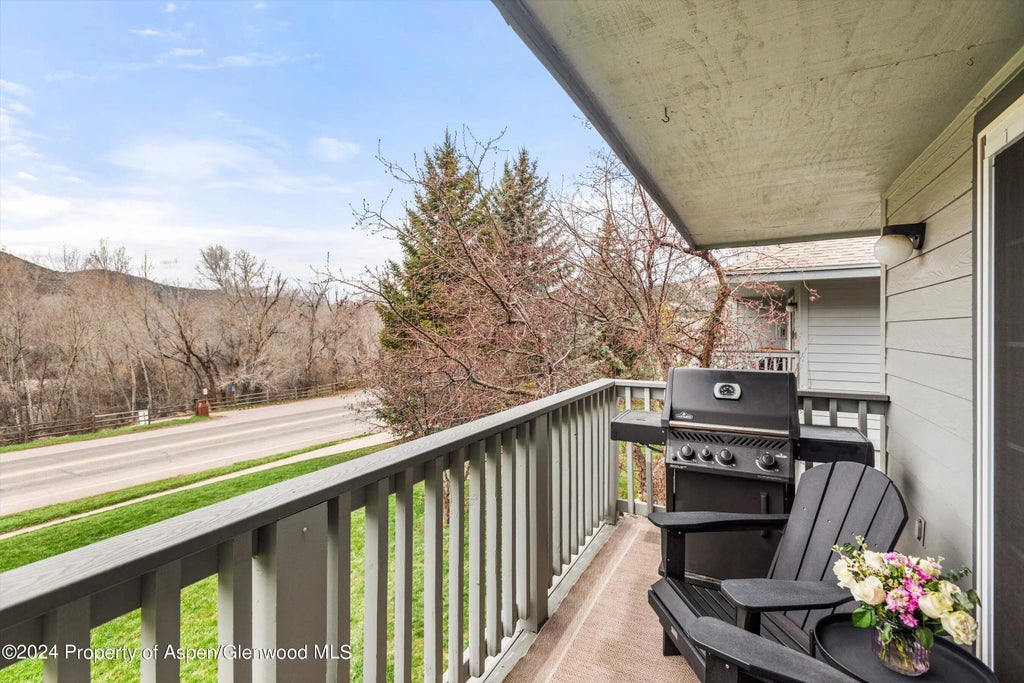 13 of 15 - 4202 Elk Lane, Basalt, CO