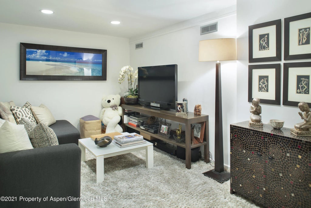 10 of 14 - 1001 E Cooper Avenue #4, Aspen, CO