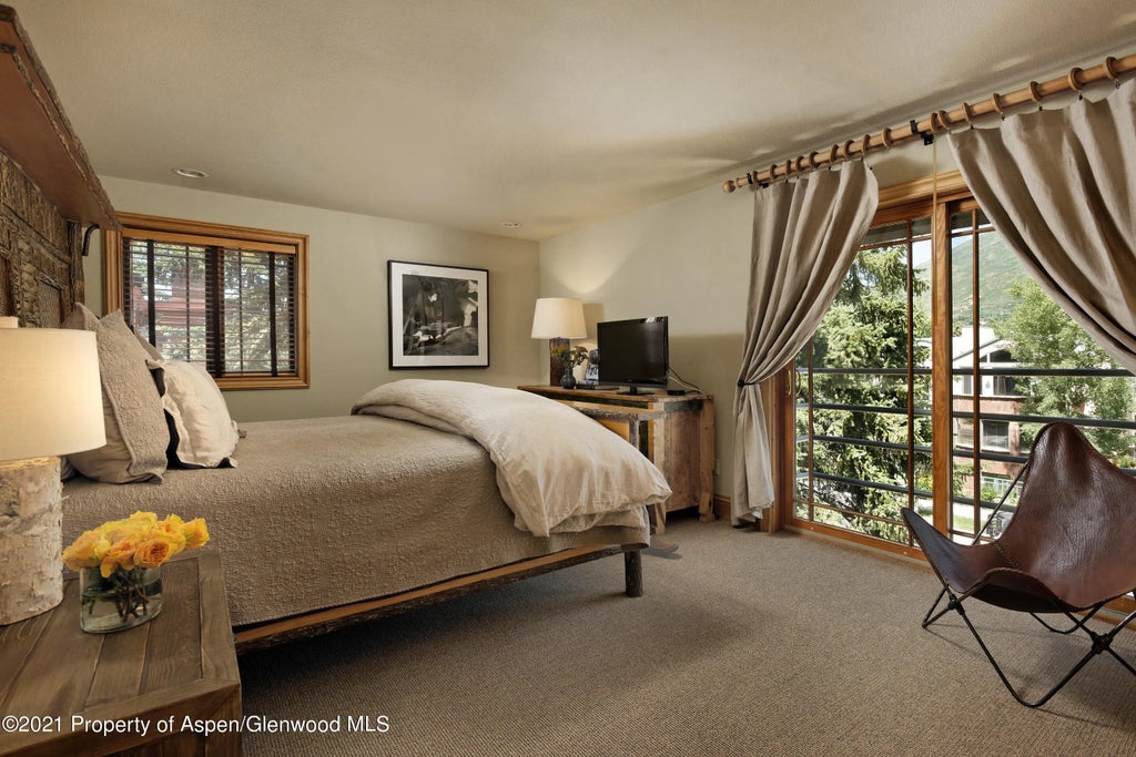 13 of 26 - 715 E Hopkins Avenue, Aspen, CO