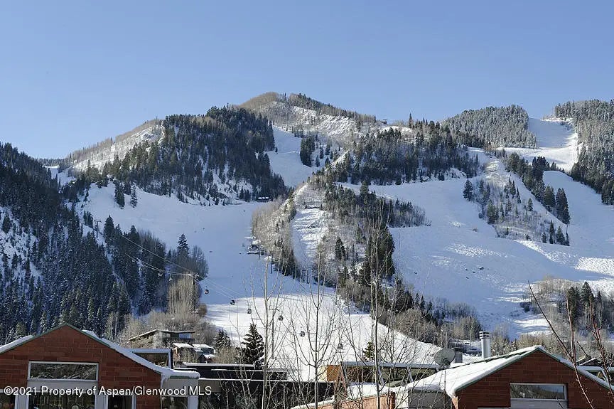 22 of 26 - 715 E Hopkins Avenue, Aspen, CO